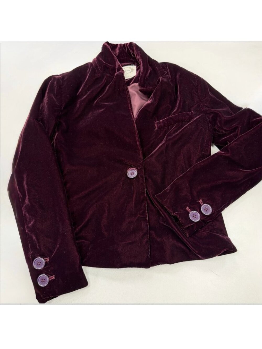 Mia Joy Plum Lolly Velvet Blazer Jacket size 7